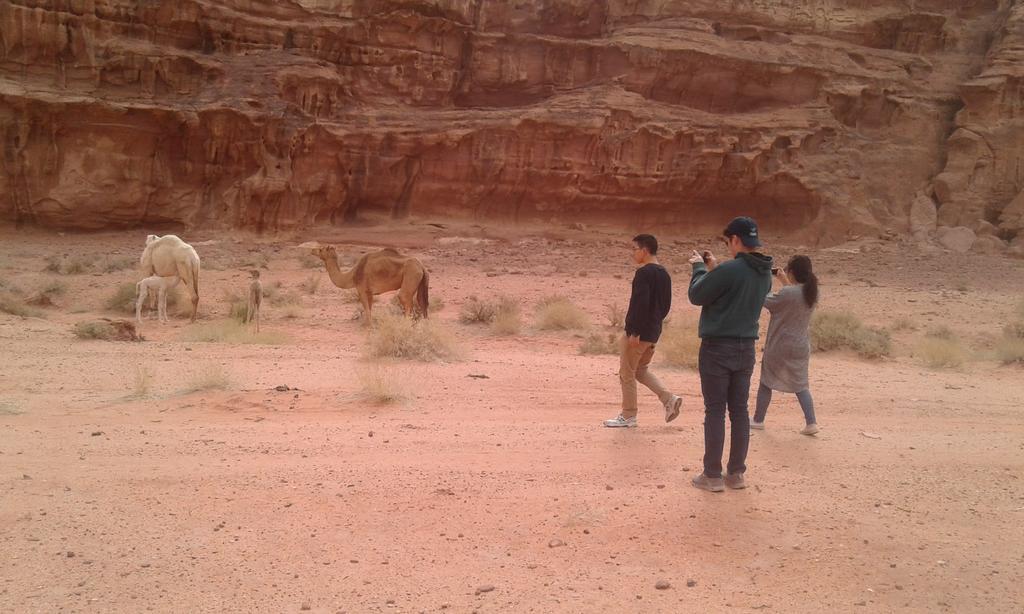 Wadi Rum Light Camp Екстер'єр фото
