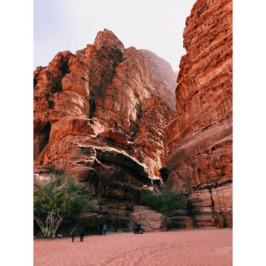 Wadi Rum Light Camp Екстер'єр фото